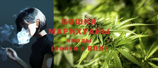 дживик Наволоки