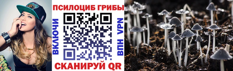 Купить где  Сатка  Галлюциногенные грибы Psilocybine cubensis 